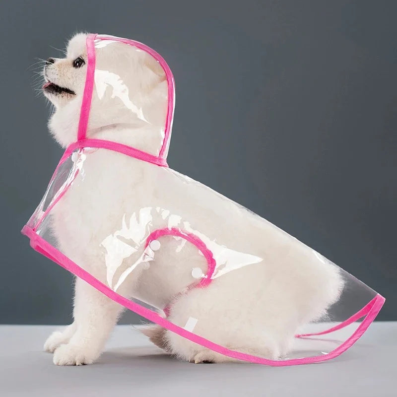 Transparent Raincoat